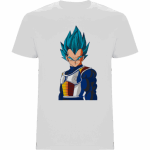VEGETA2